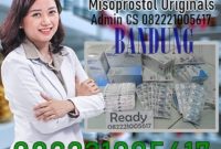 Jual Obat Aborsi Bandung Cytotec Misoprostol Sopros Ampuh