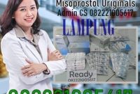Jual Obat Aborsi Lampung Cytotec Misoprostol Sopros Di Lampung